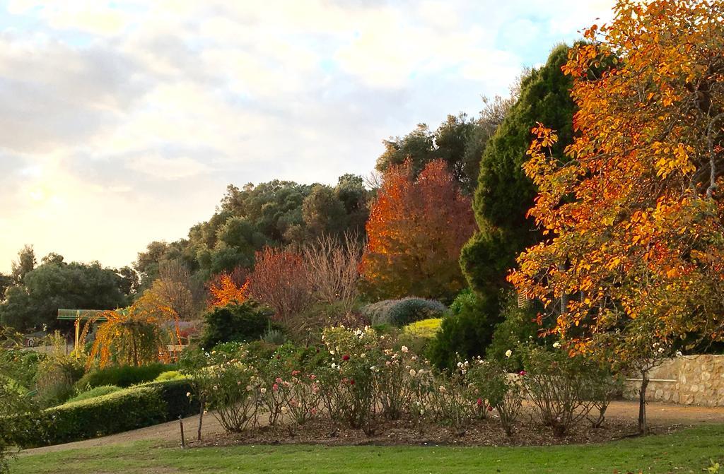 The Garden Cottage At The Olives Yankalilla Экстерьер фото